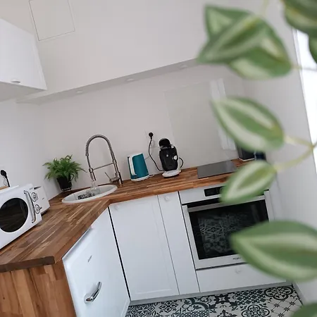 アパート Havre De Paix Coeur De ヴィシー